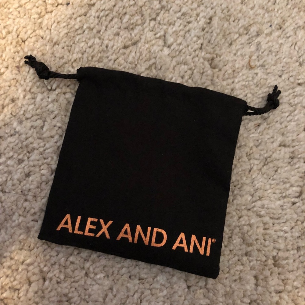 Alex & ani jewelry bag